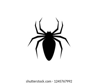 
Spider logo template
