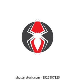 Spider logo template. Spider icon. Flat spider