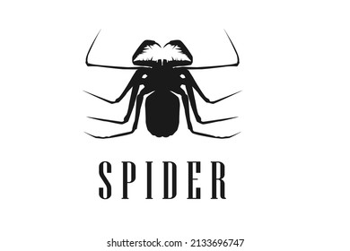 Plantilla de logotipo de Spider. Icono de araña. Araña plana