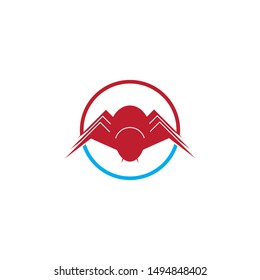Spider logo template vector icon design