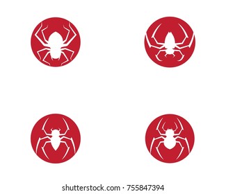 Spider logo template vector icon illustration design