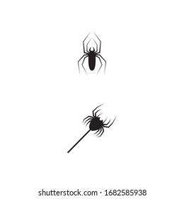 Spider Logo Template vector symbol nature