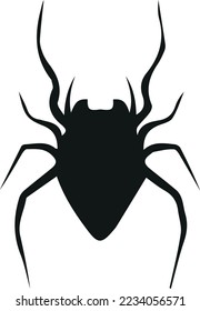 Spider Logo Template vector symbol design