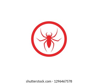 Spider logo vector