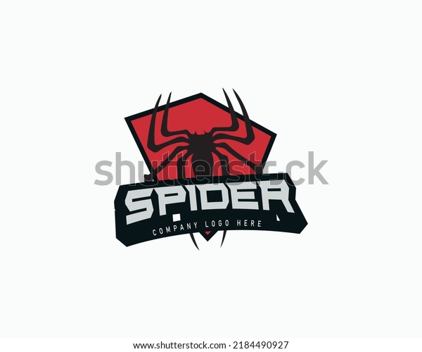 Spider logo vector design\
template