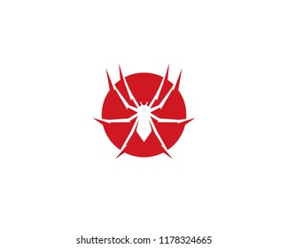 Spider logo vector illustration