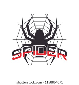 spider logo for your business, vector illustration