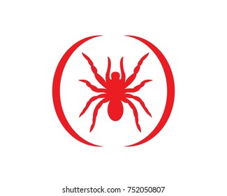 421 Red Back Spider Vector Images, Stock Photos & Vectors | Shutterstock