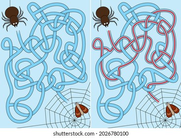 Spider maze for kids with a solution