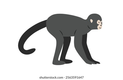 Spider monkey cartoon clipart. Spider monkey vector illustration in flat style. New World monkey. Hand-drawn wild animal concept