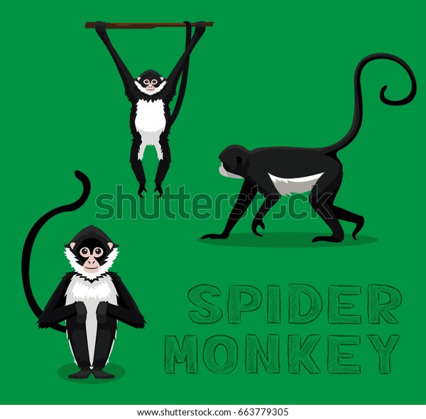 Spider Monkey Cartoon
Vector Illustration