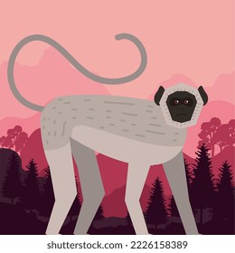 spider monkey in forest scene