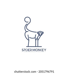 Spider monkey logo line vector illustration design. Creative design