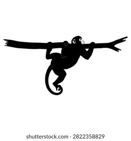 Spider monkey silhouette hanging from tree branch on white background