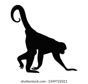 Spider Monkey silhouette vector on a white background.