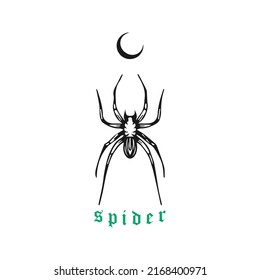 spider and moon symbol vector