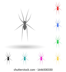 spider multi color style icon. Simple glyph, flat vector of insect icons for ui and ux, website or mobile application
