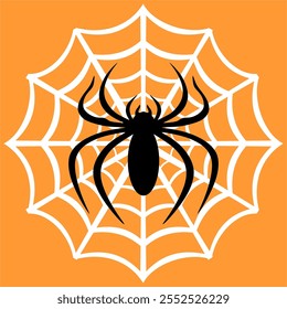 spider and its nest vector and illustration