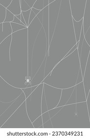 spider nest vertical background vector illustration