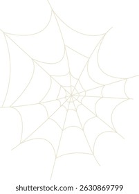 Spider Net Decoration in Flat Design. Vector Illustration on White Background
