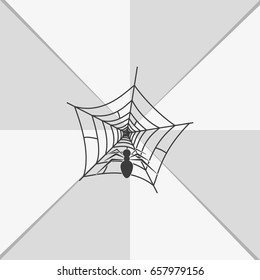 Spider net with spider icon.