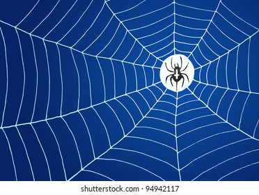 Spider and Net Illustration