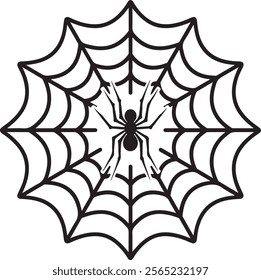 Spider net on white background