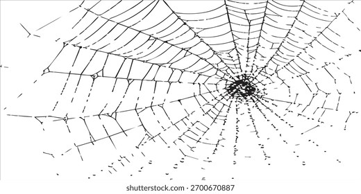 Pacote de pincel de textura de rede de aranha