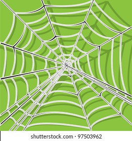 spider net vector background