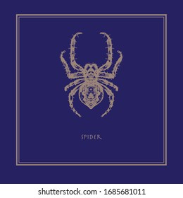Araña sobre un fondo azul en un estilo realista. Dibujado. Perfecto para impresión, interior, afiche, marca, pintura mural, impresión en ropa, muebles. Ilustración vectorial.