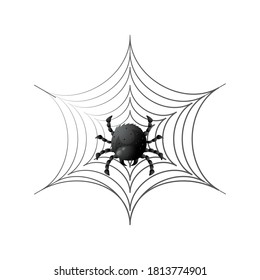 spider on cobweb for halloween on white background vector illustration design