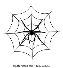 Spider on cobweb isolated on white background. Vector illustration