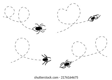 Spider on a dotted line route. Animal black silhouette. Vector isolated on white background.