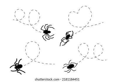 Spider on a dotted line route. Animal black silhouette. Vector isolated on white background.