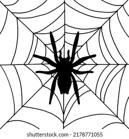 Spider on his web in doodle style. Halloween holiday concept. Black outline style. Vector illustration.