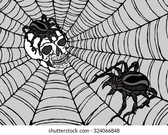 spider on human skull in spiderweb, vector illustration design, hand drawn