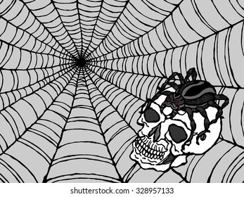 spider on human skull in spiderweb, vector illustration design, hand drawn