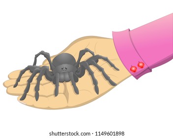 Spider on the palm. Spider is sitting on the palm of a man. Vector illustration-spider on the palm