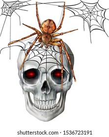 Spider on a skull. Halloween. Vector mesh and curves illustration