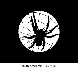 spider on the spiderweb, vector illustration