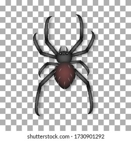 spider on transparent background vector
