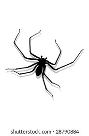 Spider On The Wall -Vector Art-