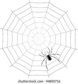 spider on web