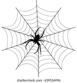 spider on the web black on a white background
