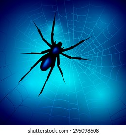 Spider on a spider web on a blue background. Vector illustration