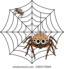 Spider en la caricatura de telaraña ilustración aislada