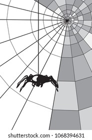 Spider on the web.  Geometric black and white web. monochrome. Background in gray scale.