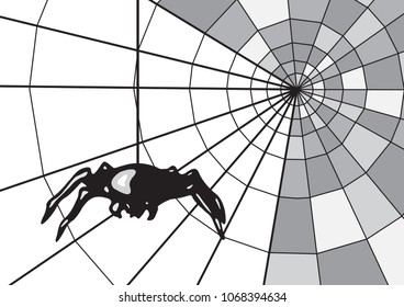 Spider on the web.  Geometric black and white web. monochrome. Background in gray scale.