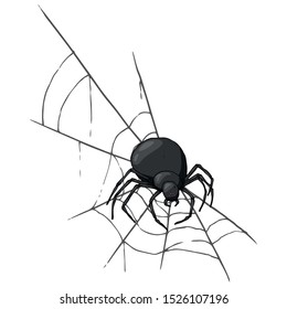 Spider on  web icon. Vector illustration spider web with a spider. Hand drawn spider and web.