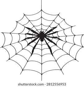 Spider on web in natural setting.